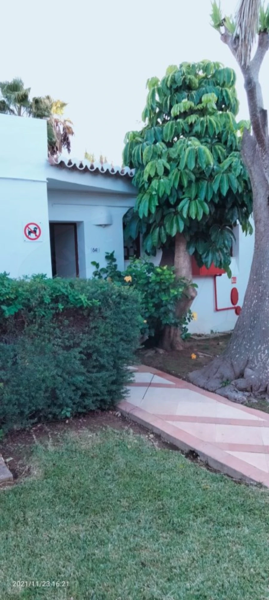 Moradia T1 para Venda em Albufeira e Olhos de Água Foto 6