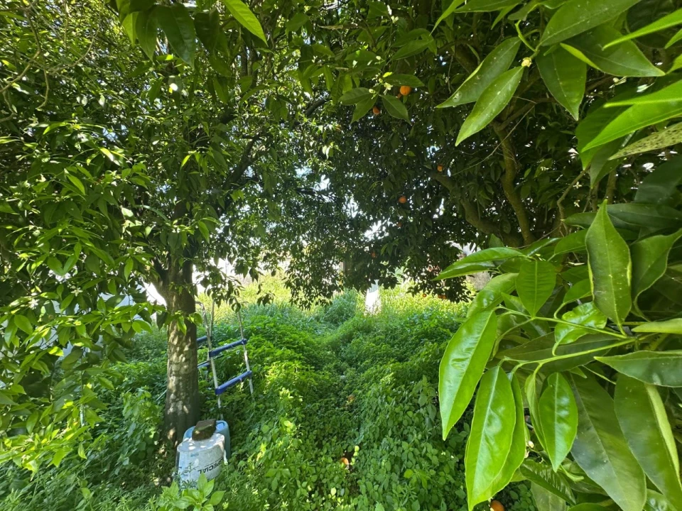 Moradia T2 para Venda em Pego Foto 2