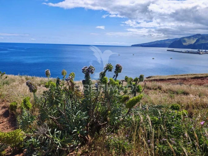 Terreno para Venda em Caniçal Foto 4