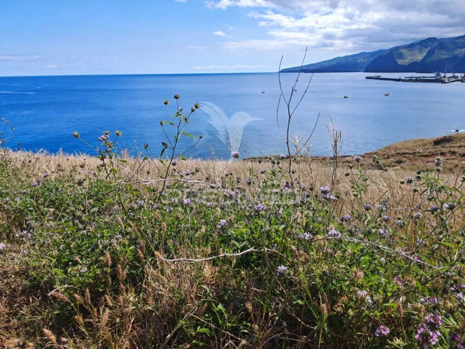 Terreno para Venda em Caniçal Foto 7