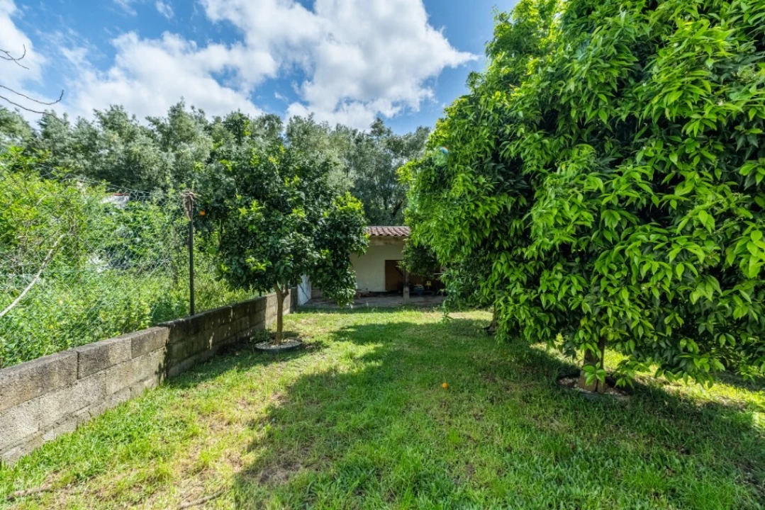 Moradia T3 para Venda em Carrazedo Foto 24