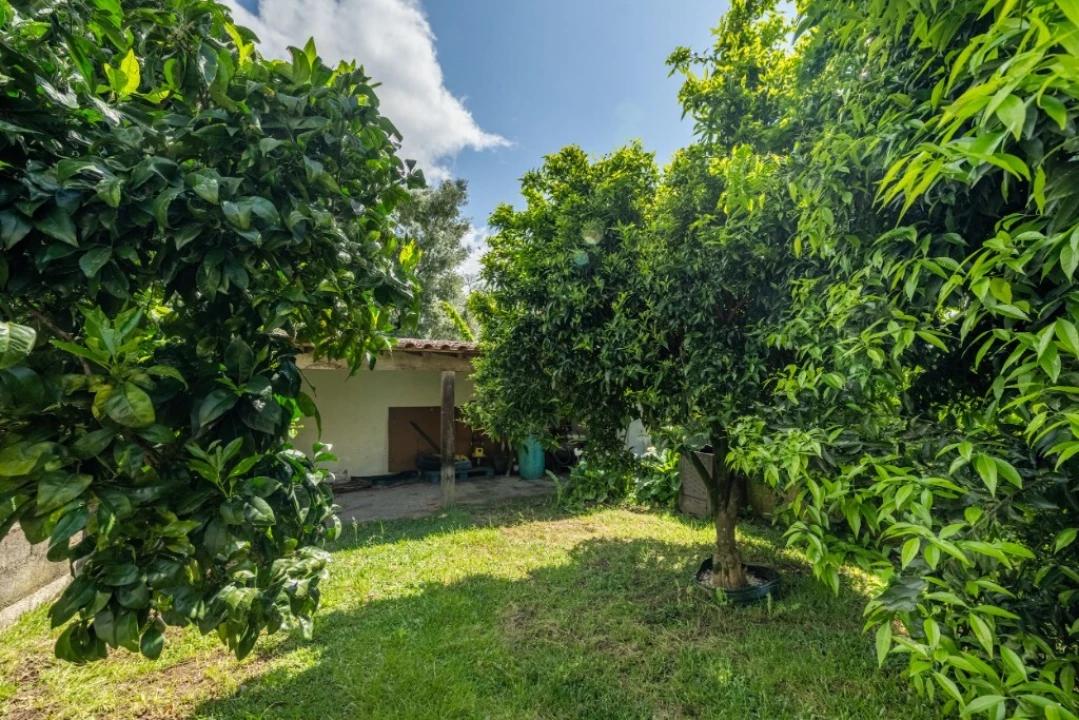 Moradia T3 para Venda em Carrazedo Foto 25