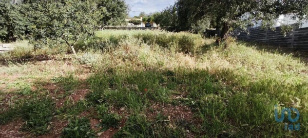 Terreno para Venda em São Brás de Alportel