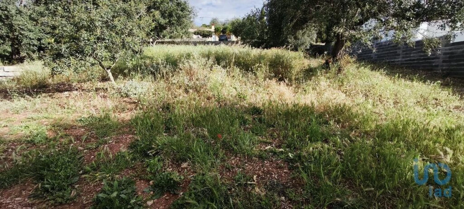 Terreno para Venda em São Brás de Alportel Foto 7