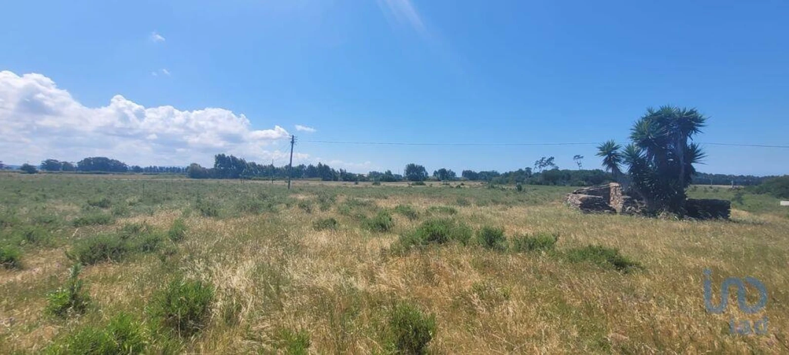 Terreno para Venda em São Teotónio Foto 6