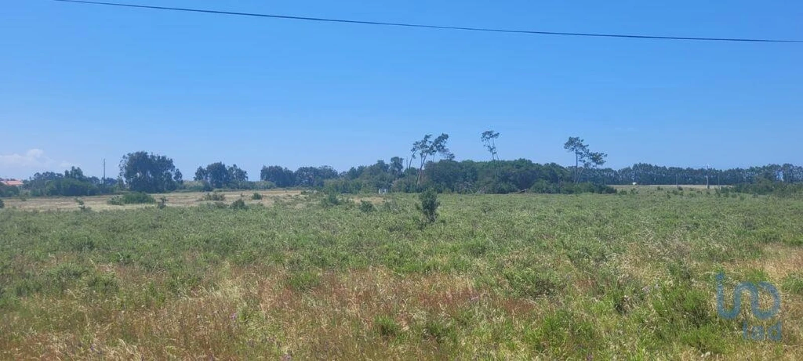 Terreno para Venda em São Teotónio Foto 7