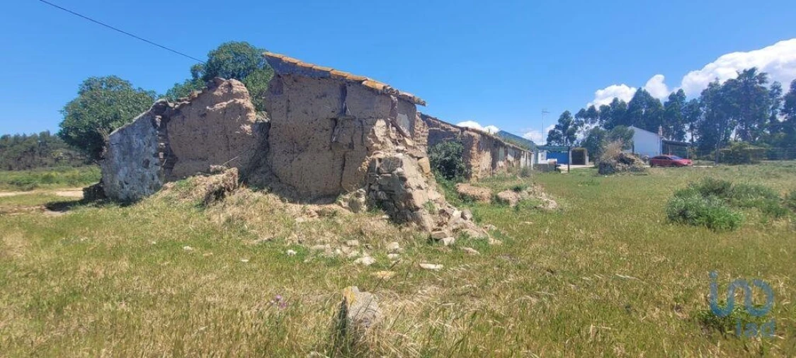 Terreno para Venda em São Teotónio Foto 2