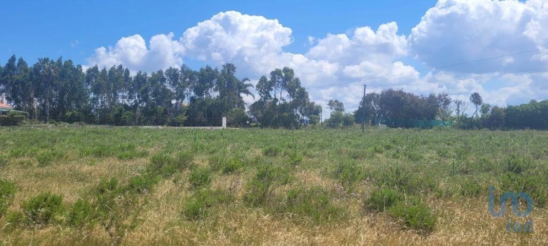 Terreno para Venda em São Teotónio Foto 1