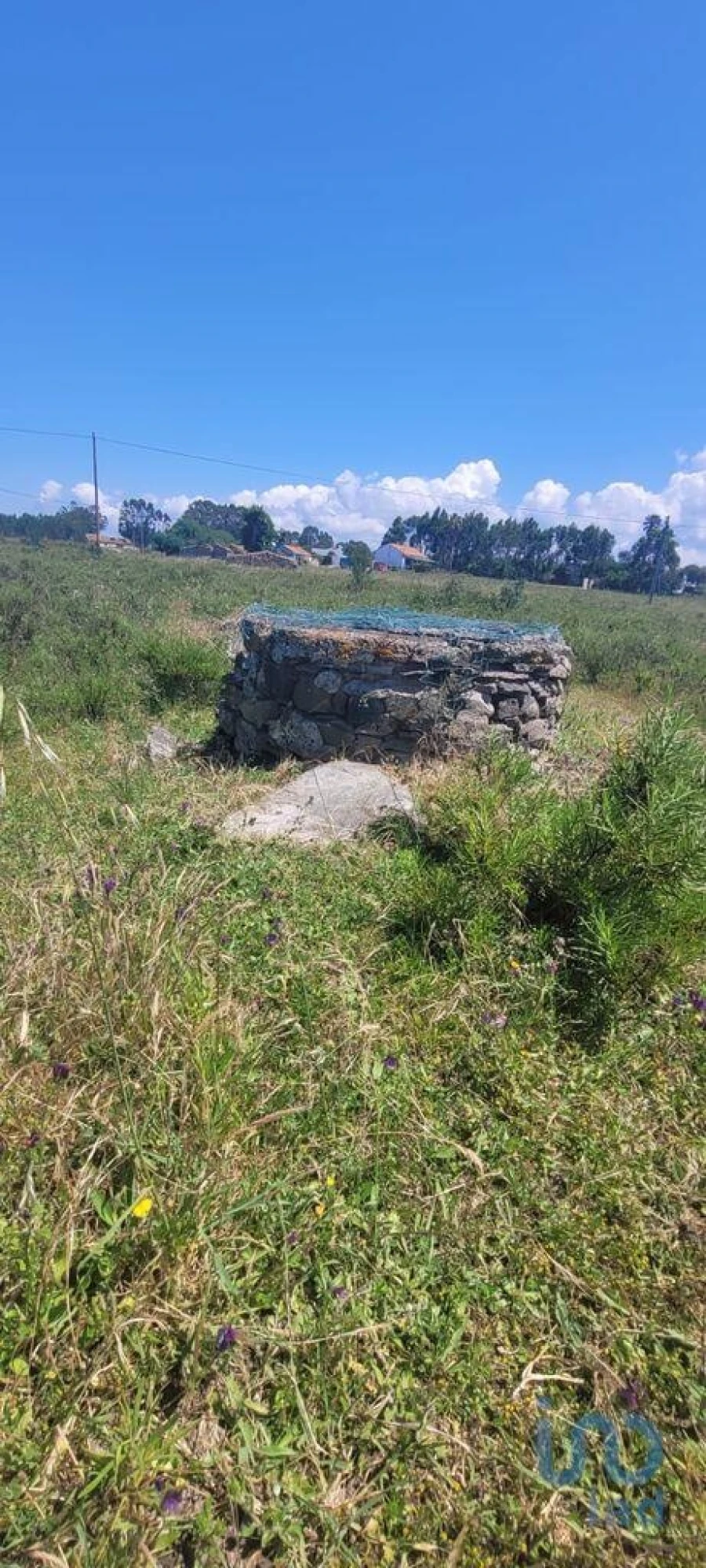 Terreno para Venda em São Teotónio Foto 5