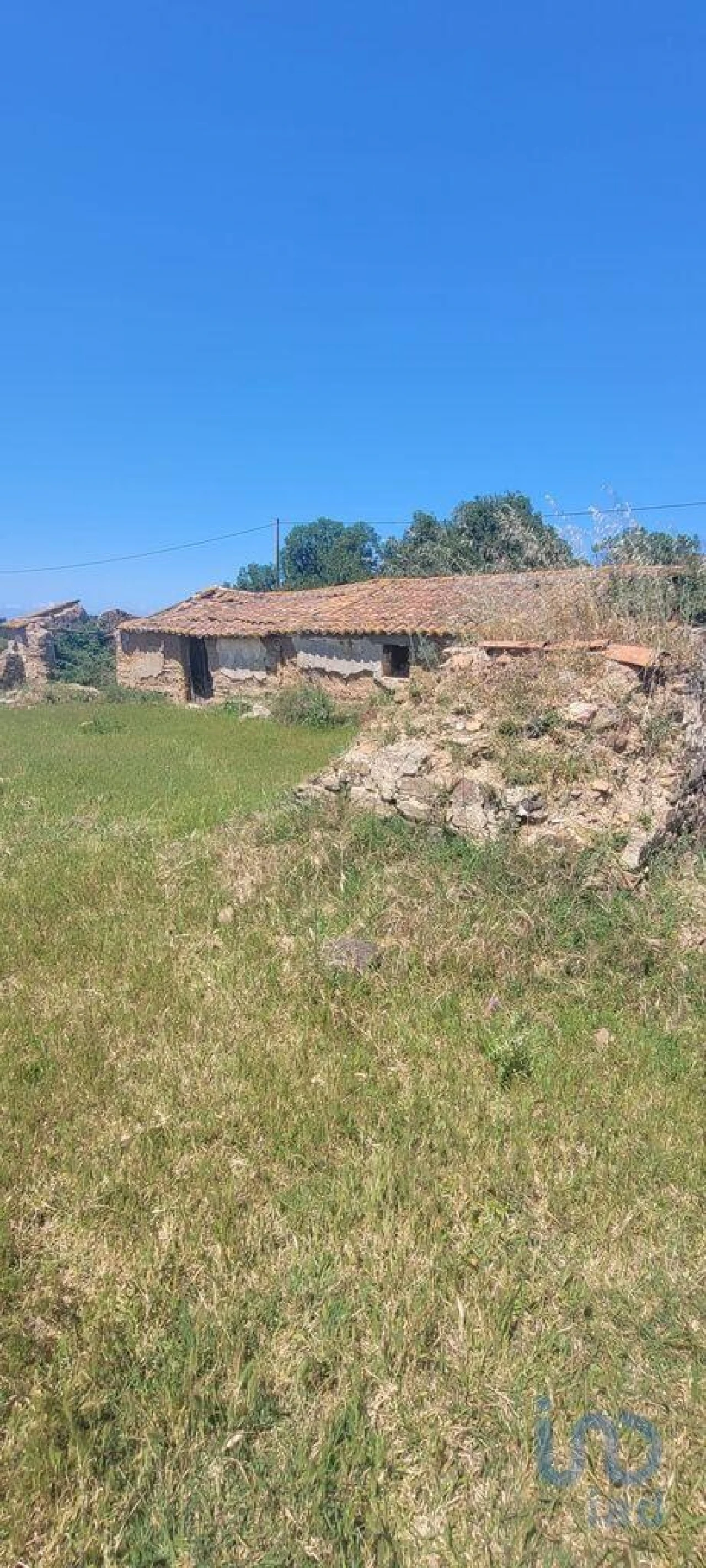 Terreno para Venda em São Teotónio Foto 4