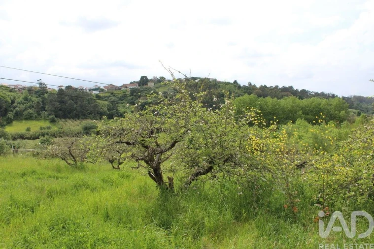 Moradia T3 para Venda em Vidais Foto 21