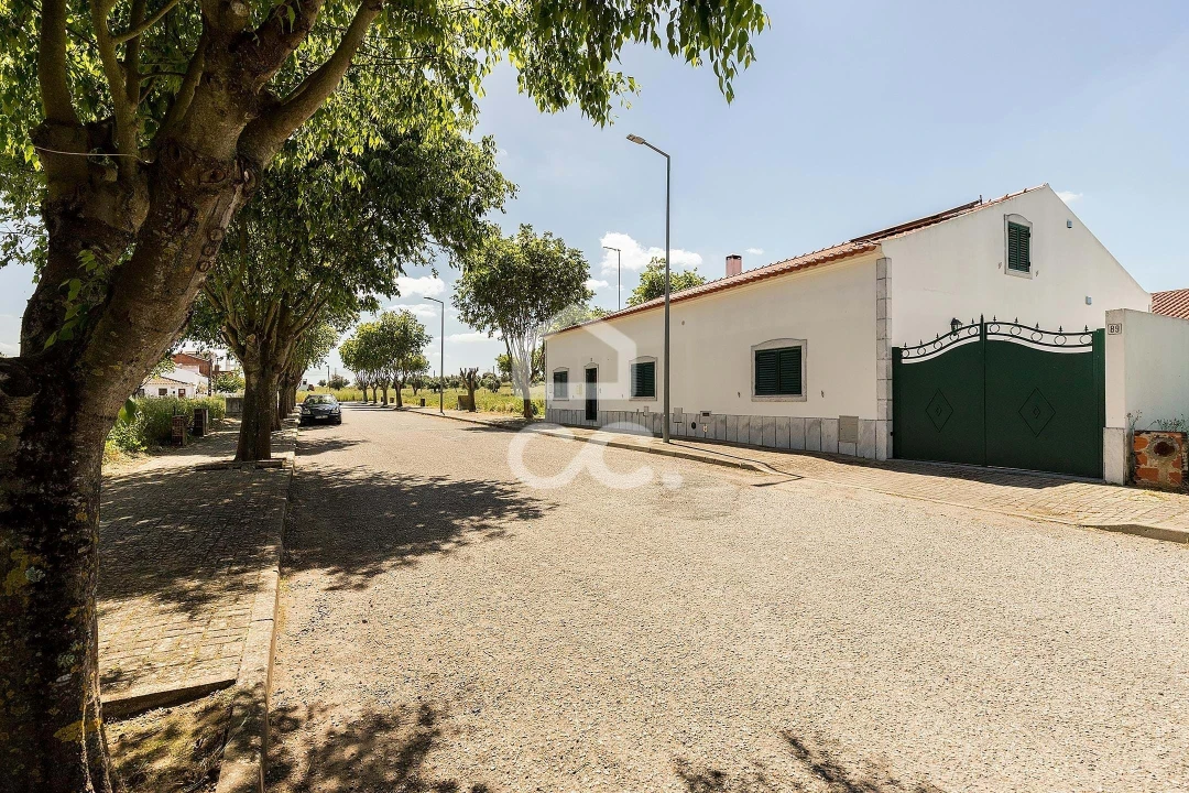 Terreno para Venda em Alvito Foto 42