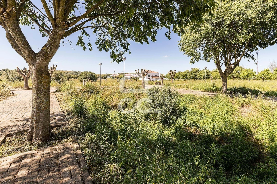 Terreno para Venda em Alvito Foto 40