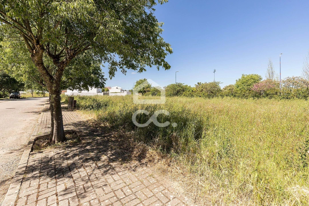 Terreno para Venda em Alvito Foto 46