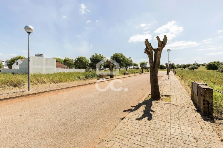 Terreno para Venda em Alvito Foto 38