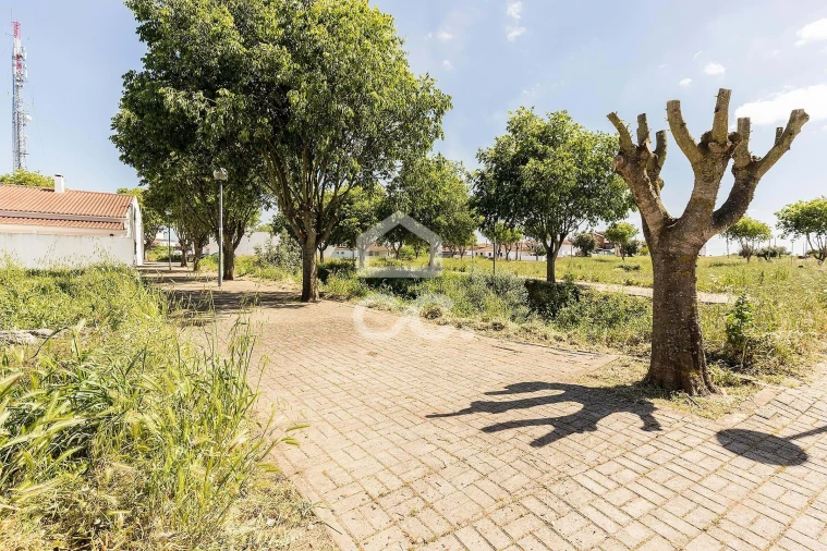 Terreno para Venda em Alvito Foto 50