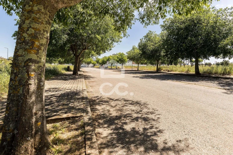 Terreno para Venda em Alvito Foto 47