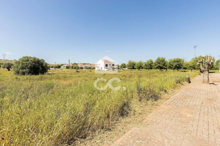 Terreno para Venda em Alvito Foto 39