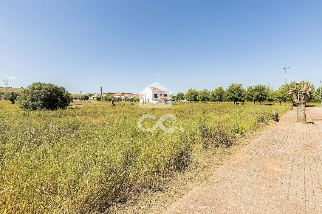Terreno para Venda em Alvito Foto 39