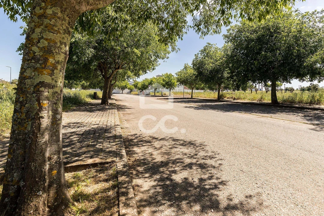 Terreno para Venda em Alvito Foto 49
