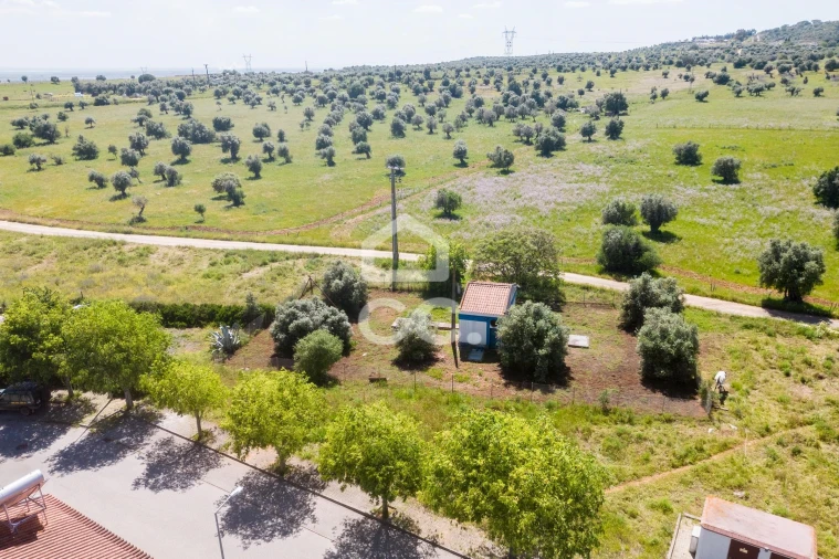 Terreno para Venda em Alvito Foto 35
