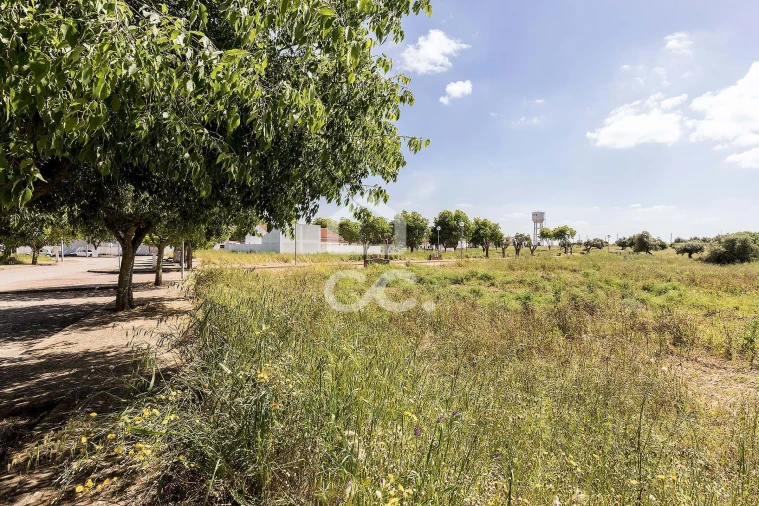 Terreno para Venda em Alvito Foto 50