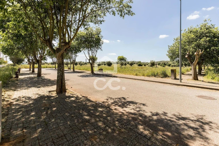 Terreno para Venda em Alvito Foto 40