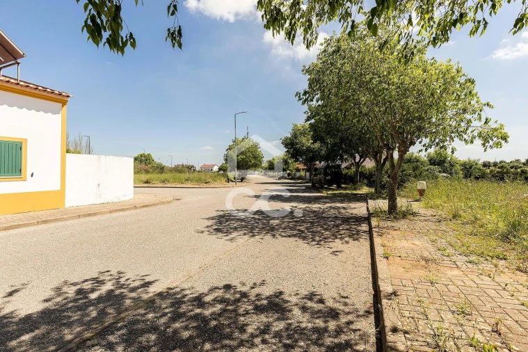 Terreno para Venda em Alvito Foto 45