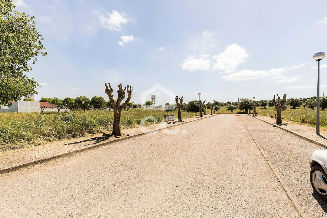 Terreno para Venda em Alvito Foto 51