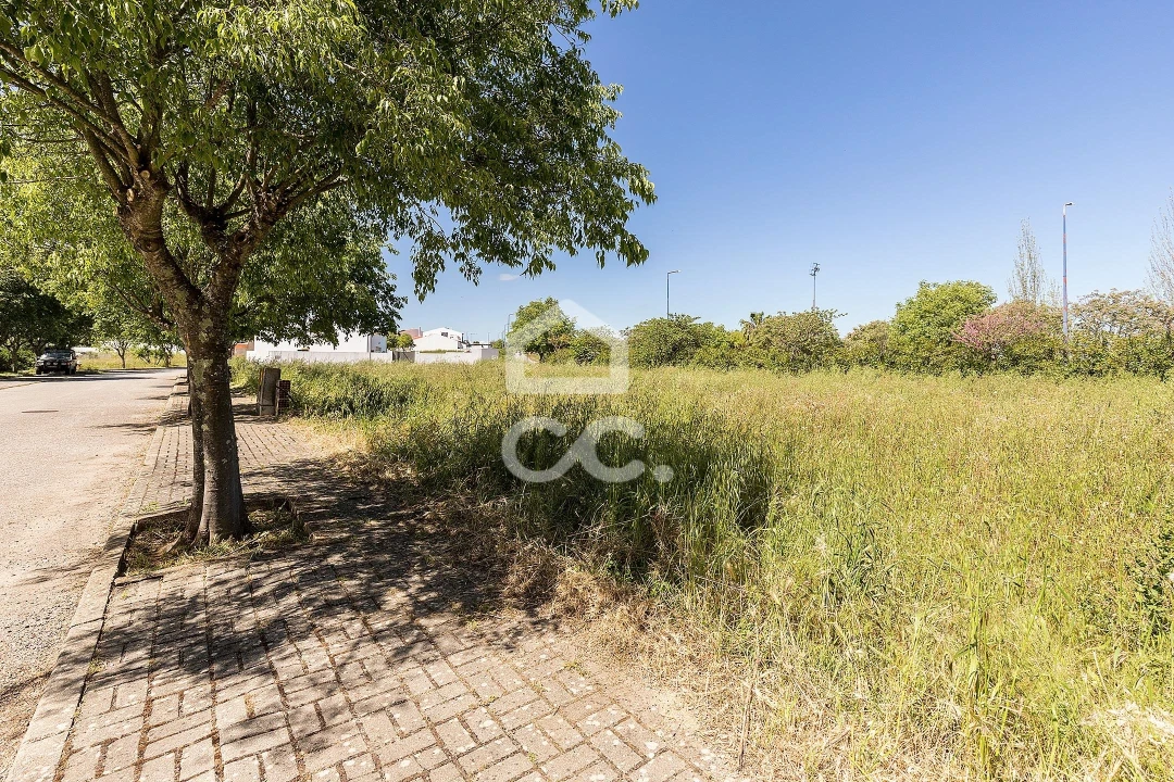 Terreno para Venda em Alvito Foto 48