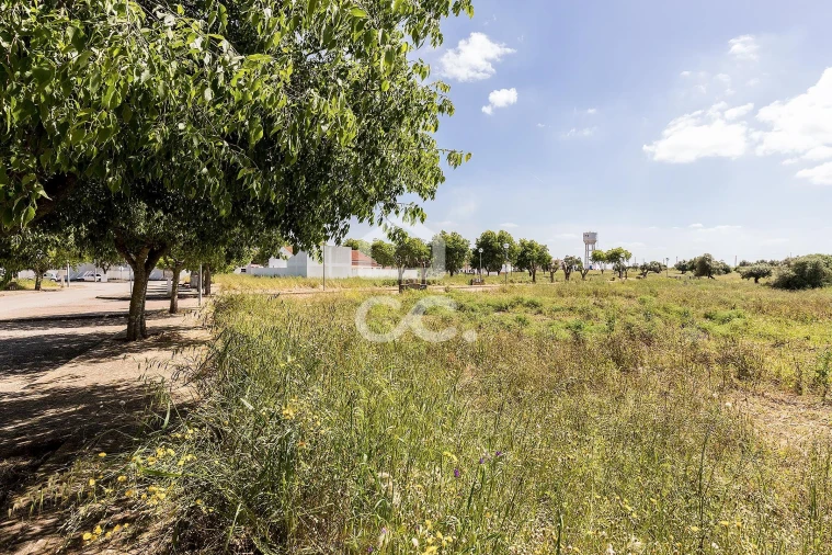 Terreno para Venda em Alvito Foto 50