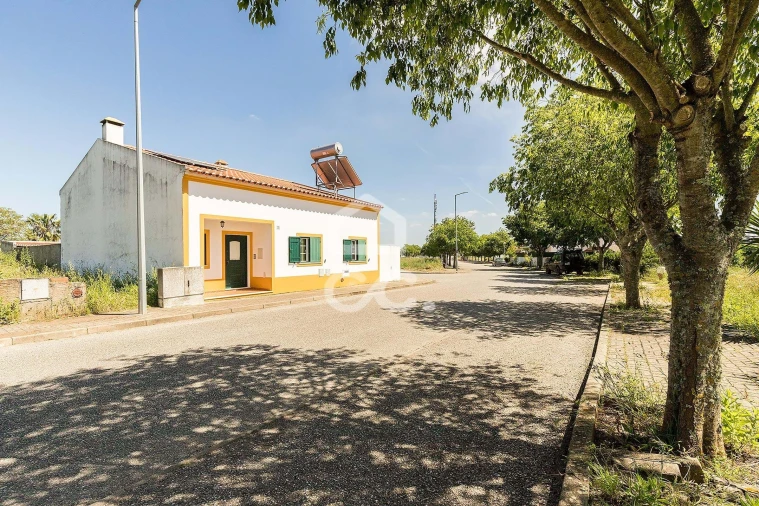 Terreno para Venda em Alvito Foto 44