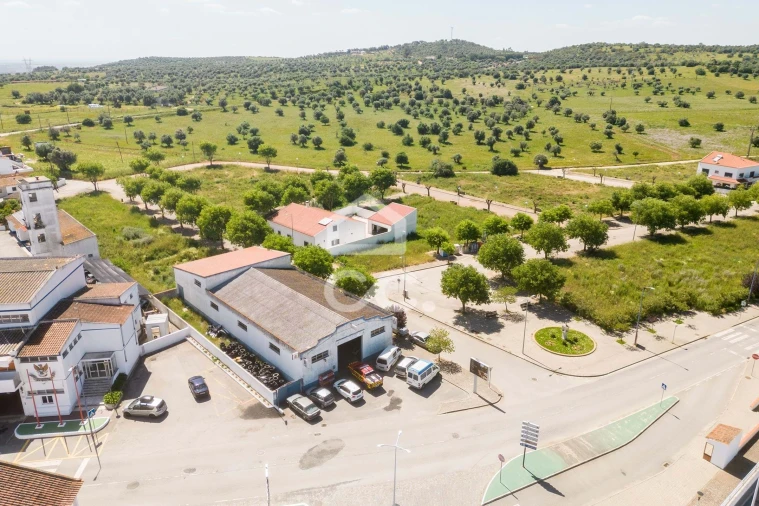 Terreno para Venda em Alvito Foto 9