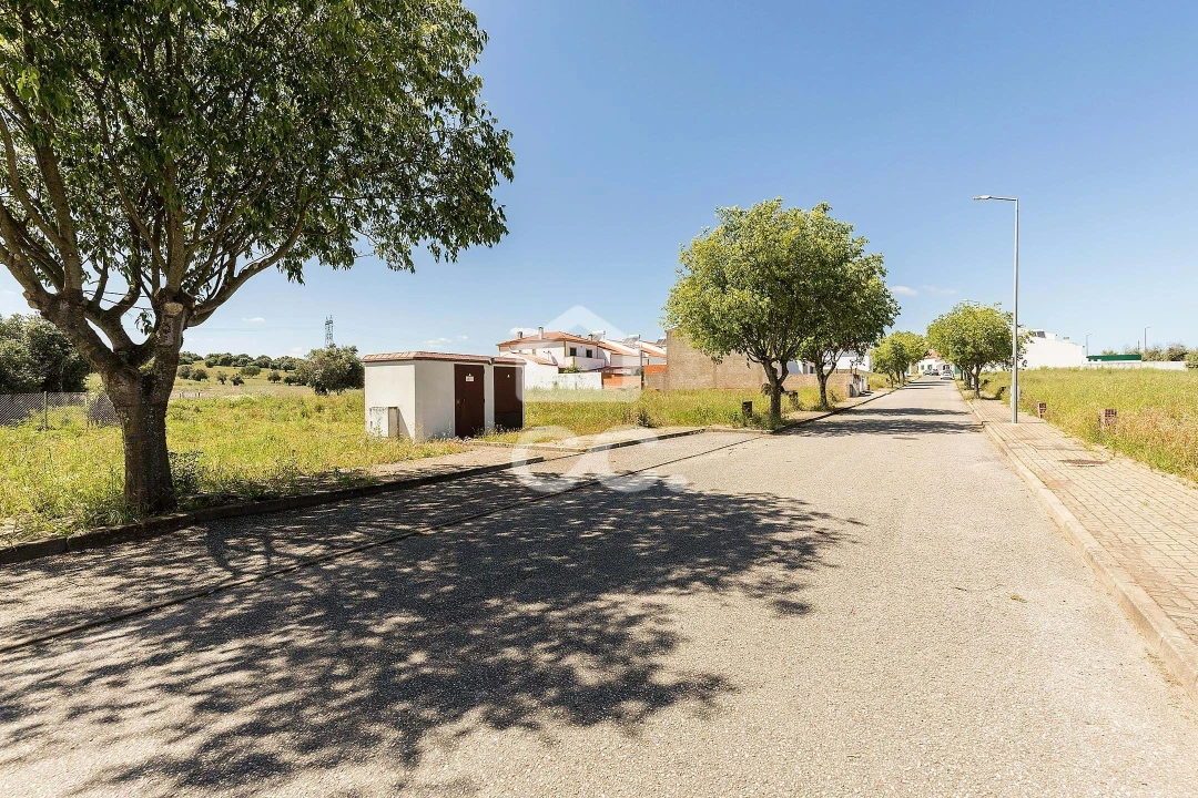 Terreno para Venda em Alvito Foto 46