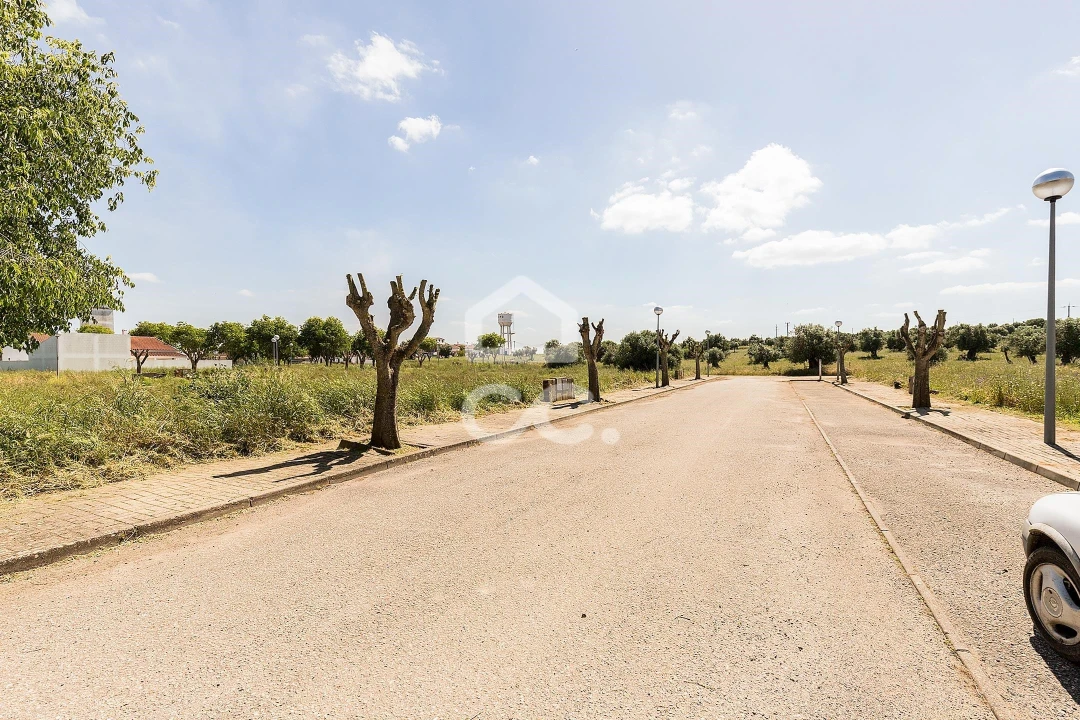 Terreno para Venda em Alvito Foto 51