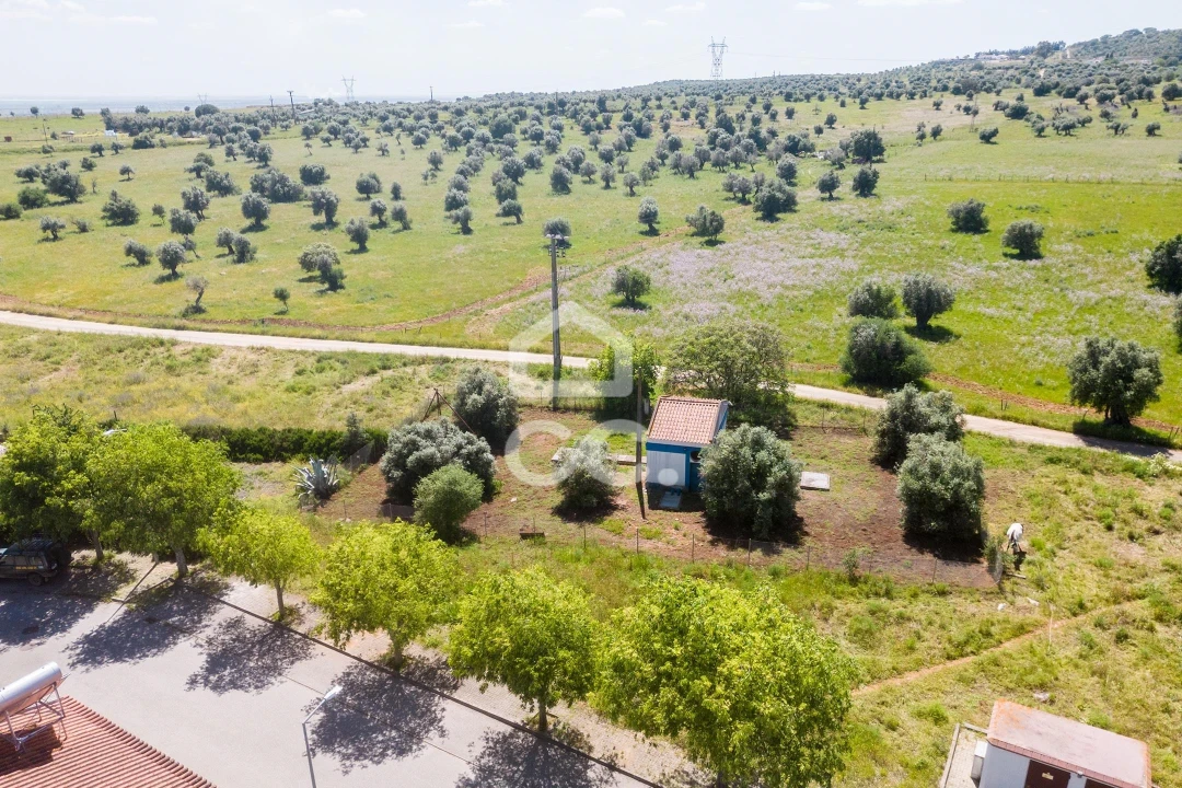 Terreno para Venda em Alvito Foto 35
