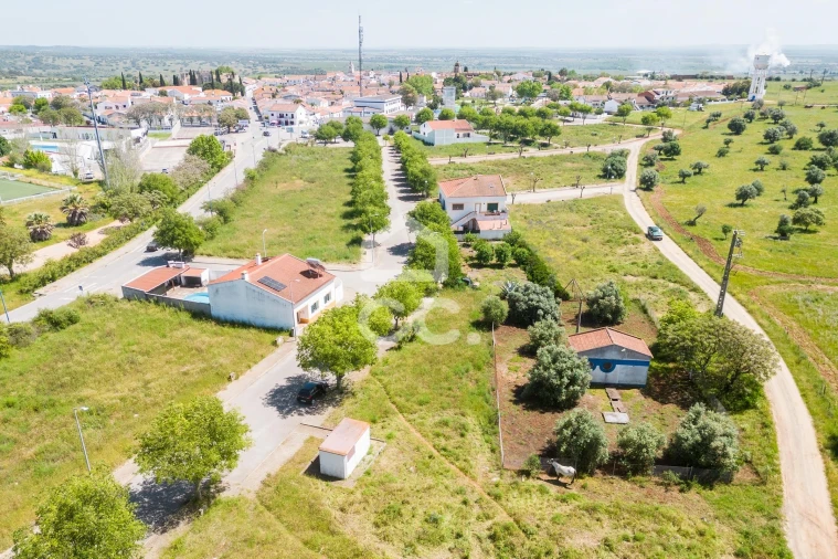 Terreno para Venda em Alvito Foto 33