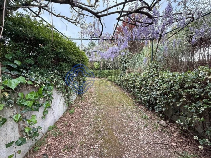 Moradia T4 para Venda em Coura Foto 44