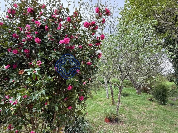 Moradia T4 para Venda em Coura Foto 41