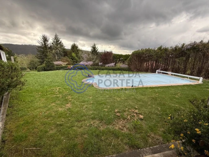 Moradia T4 para Venda em Coura Foto 35