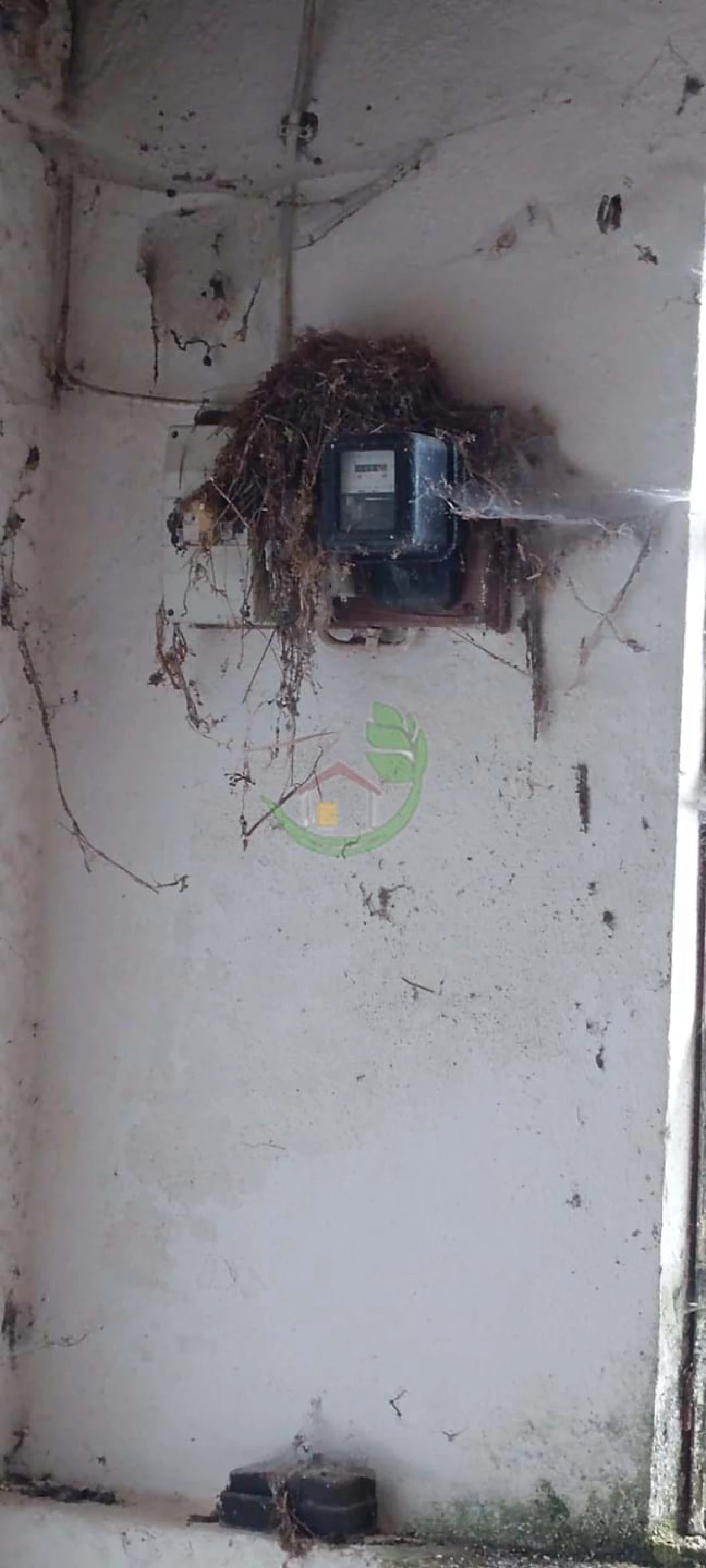 Moradia para Venda em Lindoso Foto 14