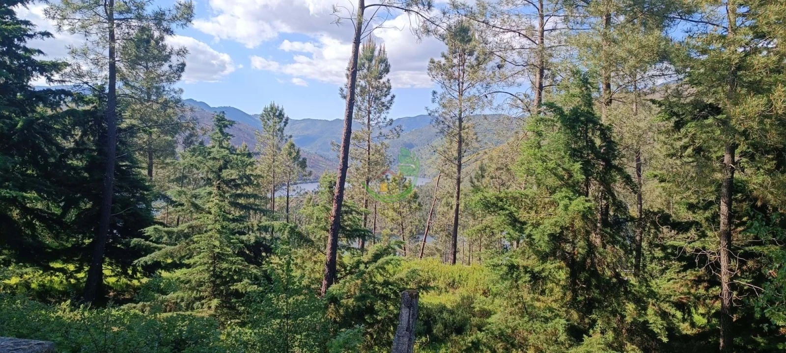 Terreno para Venda em Lindoso Foto 8