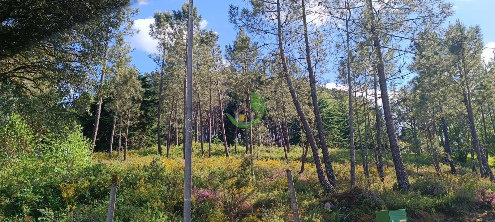 Terreno para Venda em Lindoso Foto 11