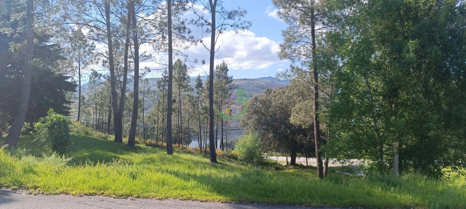 Terreno para Venda em Lindoso Foto 13