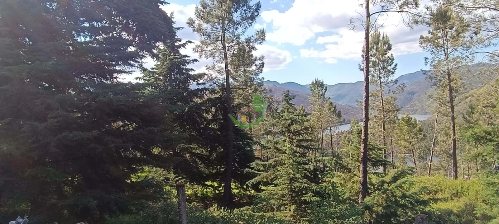 Terreno para Venda em Lindoso Foto 4