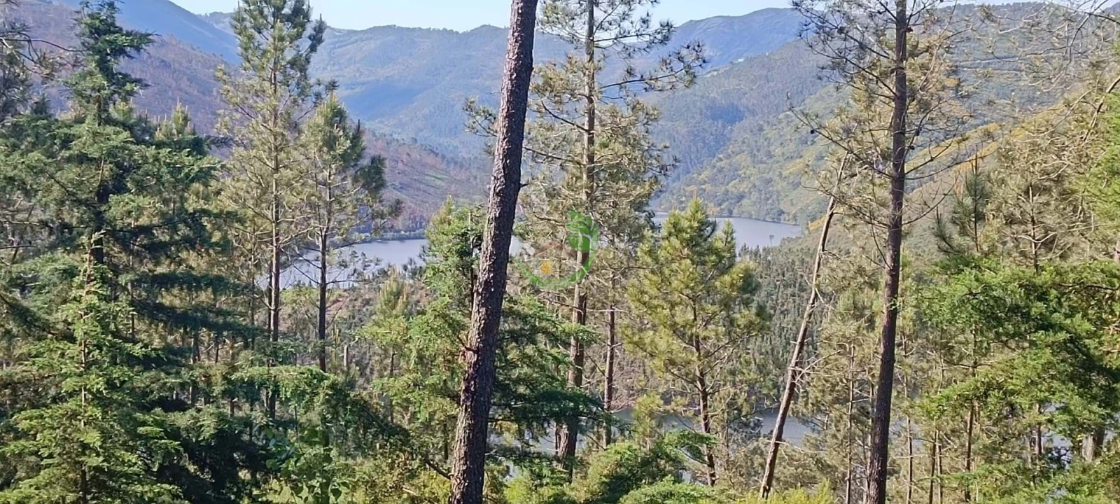 Terreno para Venda em Lindoso Foto 6