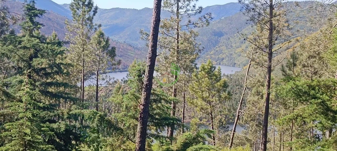 Terreno para Venda em Lindoso Foto 6