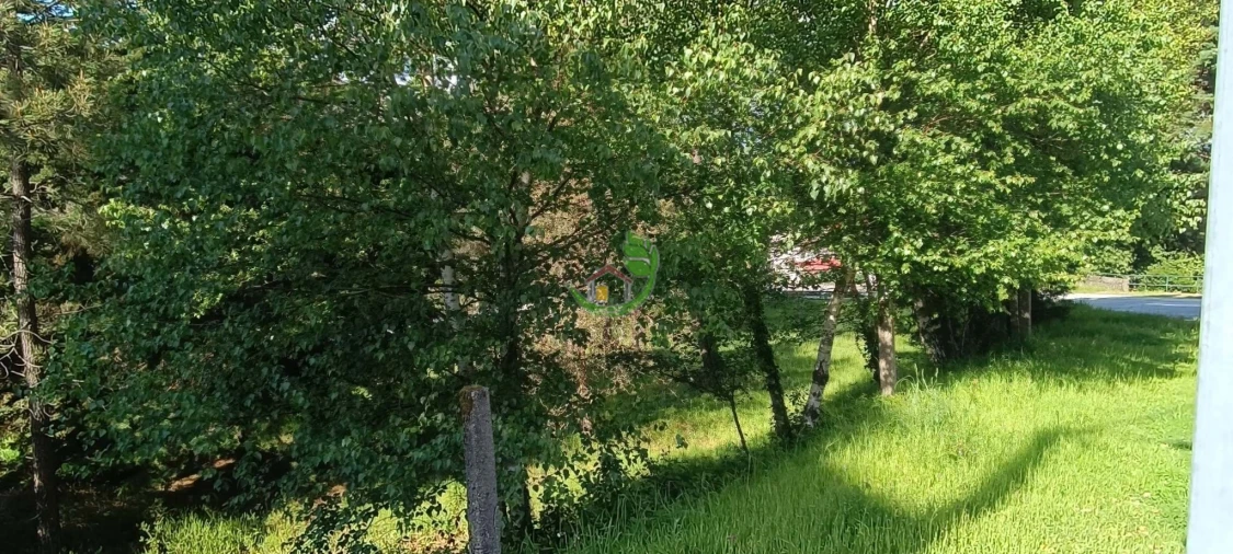 Terreno para Venda em Lindoso Foto 3