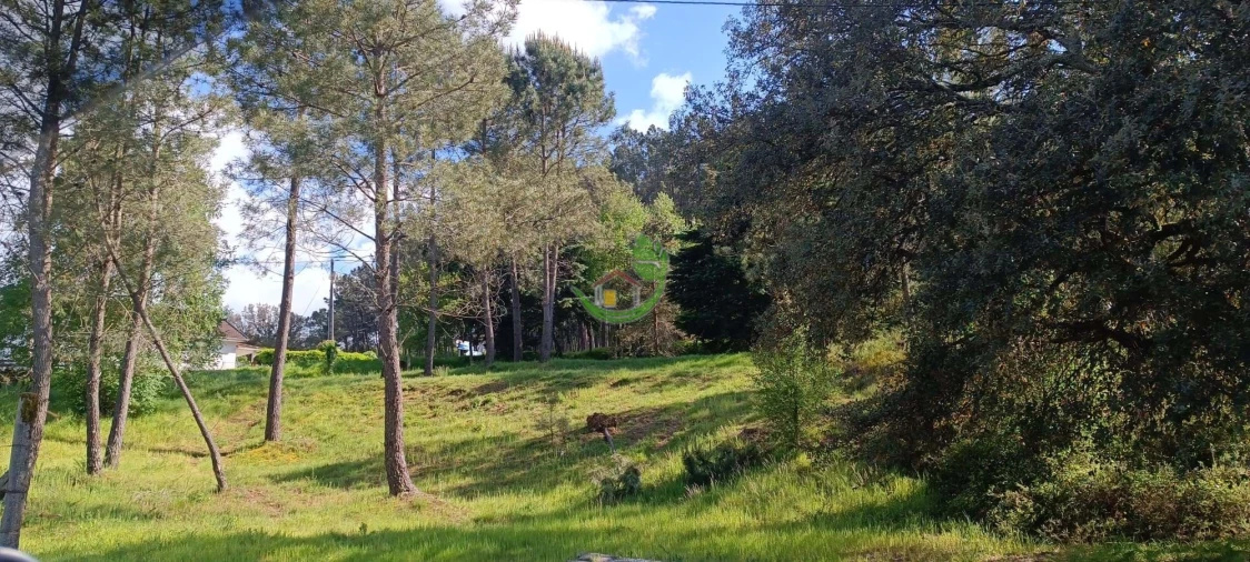 Terreno para Venda em Lindoso Foto 9