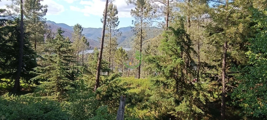 Terreno para Venda em Lindoso Foto 5